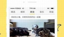 新香蕉短视频,潮流趋势下的短视频盛宴